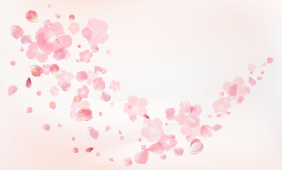 Delicate light pink sakura flowers flow. Wind swirls