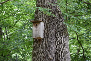 birdhouse on tree
