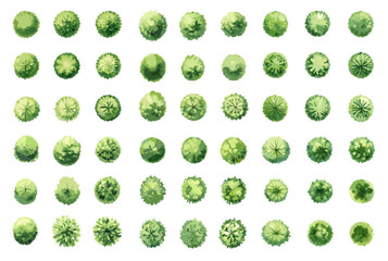 Watercolor Top View Trees Collection. Set for Landscape Design, Maps and Architecture Plans on White Background.