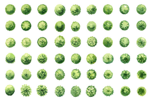 Watercolor Top View Trees Collection. Set for Landscape Design, Maps and Architecture Plans on White Background.