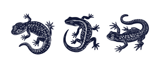 Stylized vector illustration of three geckos with intricate patterns and details. Each gecko is positioned in a distinct pose, showcasing unique textures, perfect for design projects.