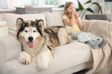 Girl suffering from allergy with her dog at home, selective focus