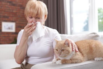 Senior woman suffering from allergy with her cat on sofa at home, selective focus