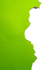 Green paper ripped message torn with burnt edges isolated on a white background. Copy space