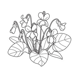 Flowering Violet Bunch Outline Drawing