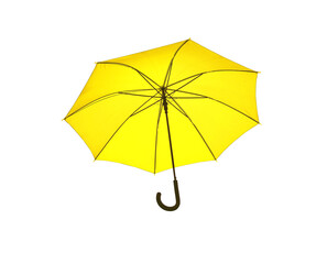 Umbrella yellow