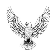 Obraz premium An eagle with outstretched wings, detailed feathers