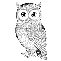 Fototapeta premium Line-art owl with detailed feathers and big eyes
