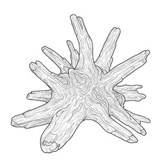 Wood stump with protruding limbs displaying detailed grain, black outlines on white