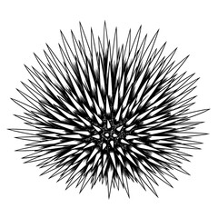 Obraz premium Spiky, black-and-white, radiating from a dense center on a white background, geometric design