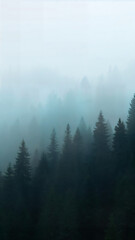 Misty Mountain Forest: An ethereal landscape featuring a dense coniferous forest shrouded in a thick, swirling mist, creating a serene and mysterious atmosphere.
