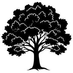 Obraz premium Vintage Oak Tree Outline Vector