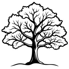 Obraz premium Vintage Oak Tree Outline Vector