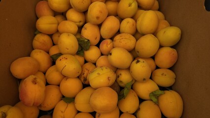 Fruit Background as Close Up Photography