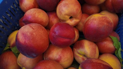 Fruit Background as Close Up Photography