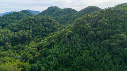 Obraz premium Aerial view of lush green forested hills under a cloudy sky. Dense tropical vegetation covers rolling terrain, perfect for concepts of nature, environment, conservation, and travel destinations.