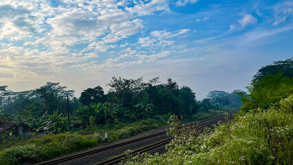 Fototapeta premium a curved railway track running through lush green vegetation, tropical trees, and wild plants under a bright blue sky with scattered clouds in rural