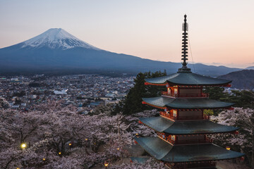 Stunning twilight view of Mount Fuji from Fujiyoshida, Japan. A vibrant cherry blossom scene frames...