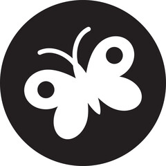 butterfly on a white background