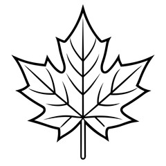 Maple Leaf Vector Illustration