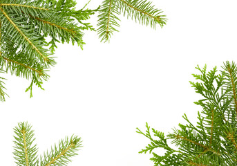 christmas tree border frame isolated on white or transparent png