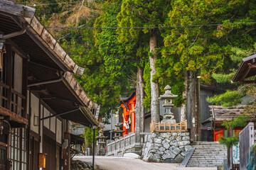 Scenic pathway leading to a vibrant red torii gate nestled within a serene Japanese forest....