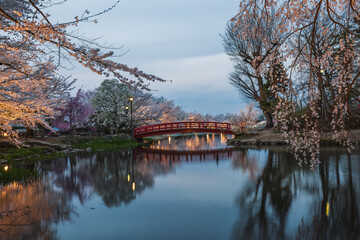 Serene evening scene in Japan, featuring a red arched bridge reflecting in a calm pond, surrounded...