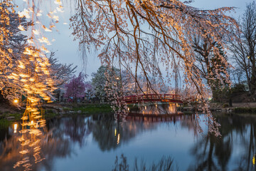 Serene evening scene at a Japanese park, featuring a red arched bridge reflecting in a calm pond...