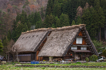 Traditional Gassho-style farmhouses in Shirakawa-go, Japan.  These UNESCO World Heritage listed houses feature steep, thatched roofs designed to withstand heavy snowfall.