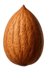 Mature almond drupe with hard shell and pointed tip