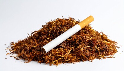 cigarette on loose tobacco pile on white background