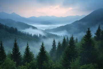 Morning mist envelops a dense pine forest, with fog hovering above the trees