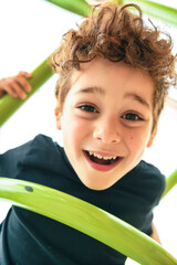 Happy kid on playground on summer season