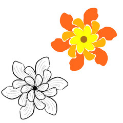 floral background with flowers