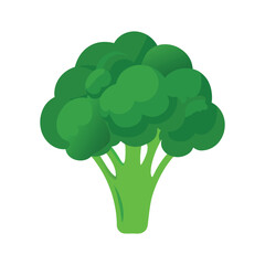 broccoli on a white background