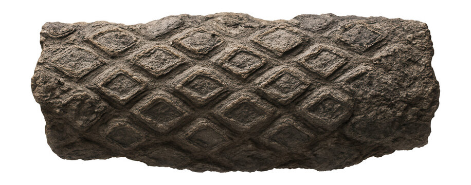 Petrified lycopsid bark with diamond-shaped leaf scars and rough texture