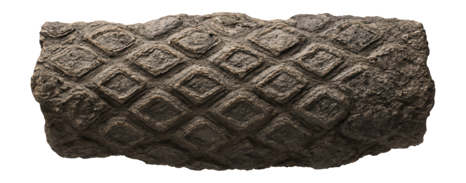 Petrified lycopsid bark with diamond-shaped leaf scars and rough texture