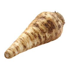 A single raw parsnip root vegetable with visible texture and dirt isolated on transparent background