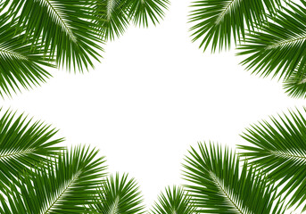 Tropical Palm Leaf Border Frame