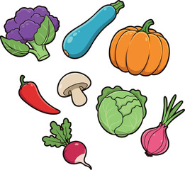 Assorted colorful vegetables including pumpkin, zucchini, cabbage, radish, chili, cauliflower, mushroom, and onion vector illustration