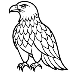 Obraz premium Majestic eagle bird standing proudly with detailed feather silhouette