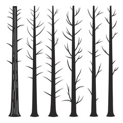 Fototapeta premium Bare Trees Forest Silhouette black