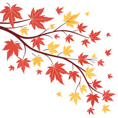 autumn maple leaves