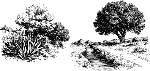 Fototapeta premium Engraved landscape illustrations of country lane and trees for artistic design