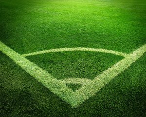 Green soccer football sport field with white lines, natural grass turf texture