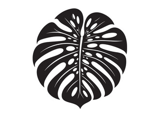 monstera leaf logo silhouette vector, tropical leaf logo icon silhouette vector, monstera deliciosa leaf silhouette vector design, jungle leaves monstera logo silhouettes vector on a white background © Adobe design