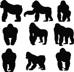 Gorilla silhouette vector set, powerful ape poses, wild animal graphic, black silhouette collection, jungle wildlife design, walking gorilla illustration