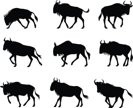 Wildebeest silhouette vector set, wild animal poses, African wildlife illustration, safari design element, black silhouettes, walking gnu images