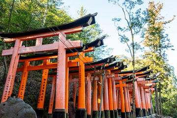 The torii gates seen in Japanese temples are the boundary between the 'unholy place (the general world)' and the 'sacred place (the shrine)'.