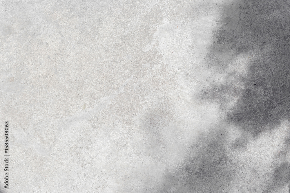Poster gray concrete wall empty copy space background with sunlight and leaves shadows. minimalistic luxury